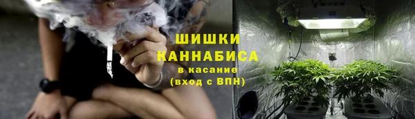 a pvp Аркадак