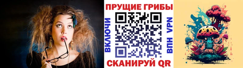 Псилоцибиновые грибы ЛСД Коряжма