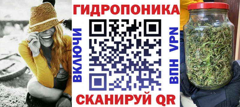 Шишки марихуана марихуана  Коряжма 